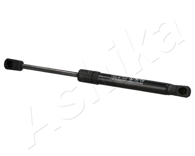 ZSA02021