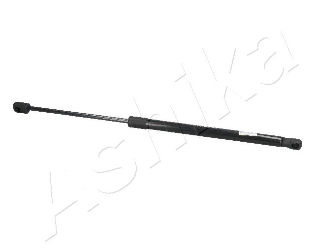 ZSA09051