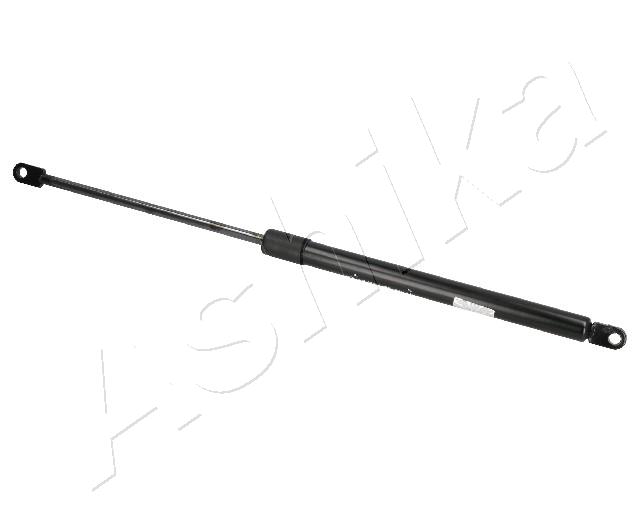 ZSA09018