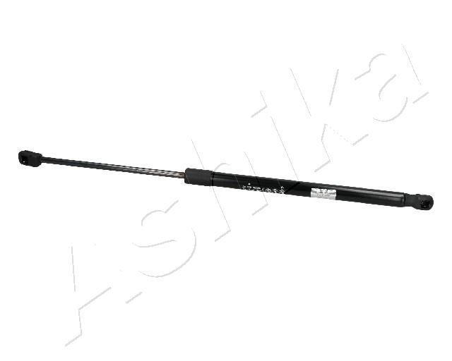 ZSA40013