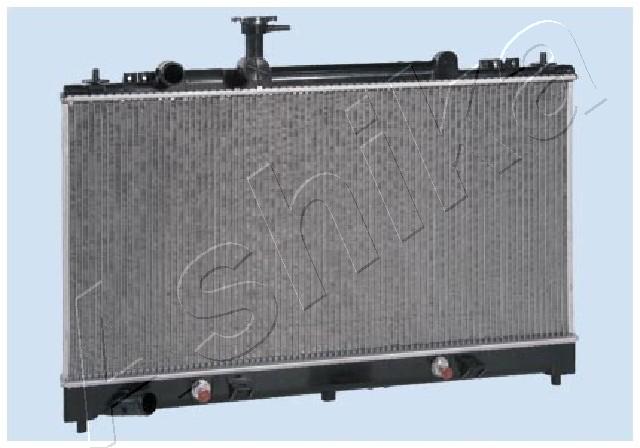 RDA273004