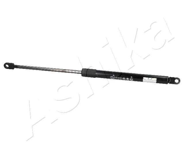 ZSA02059