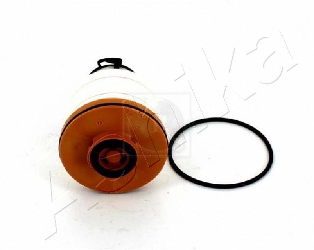 30-ECO095