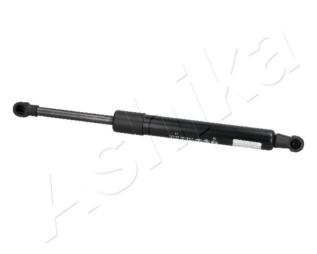 ZSA03113