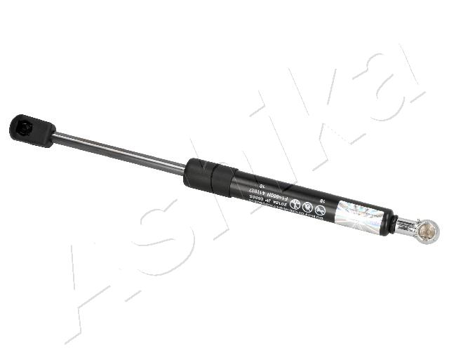 ZSA09005