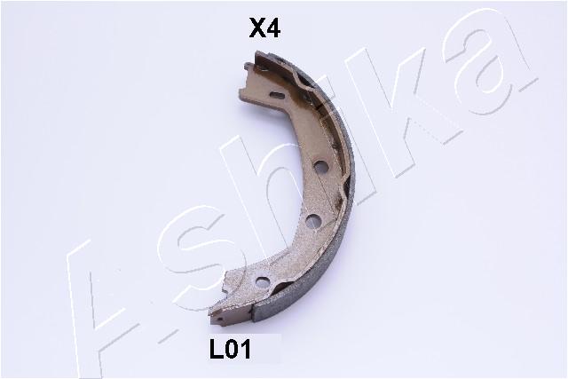 55-0L-L01