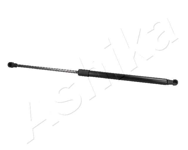 ZSA09038