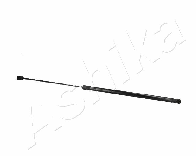 ZSA00031