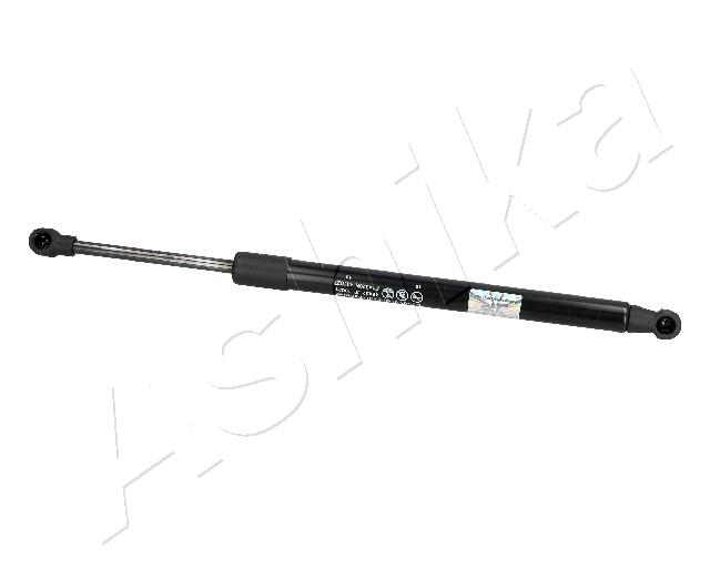 ZSA10021