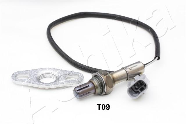 43-T09