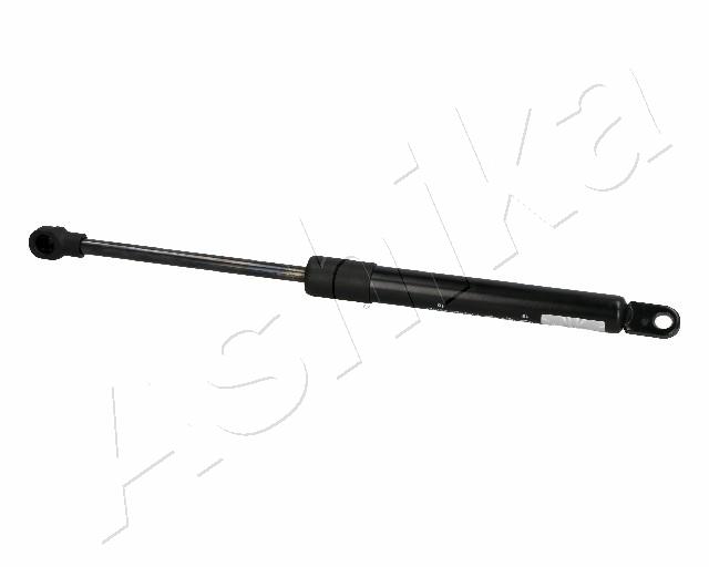 ZSA06008