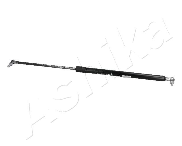 ZSA10026