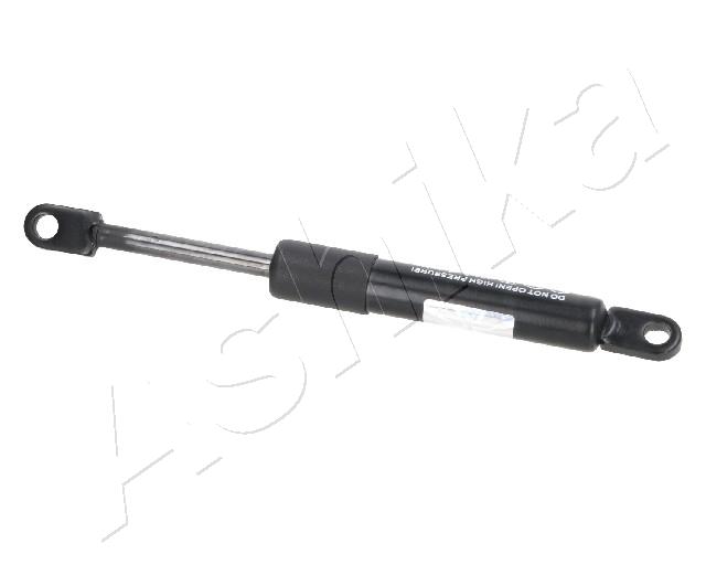 ZSA01065