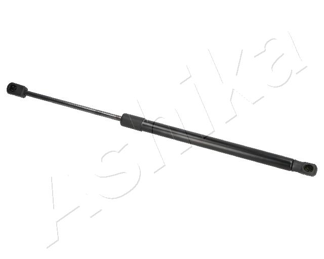 ZSA02031
