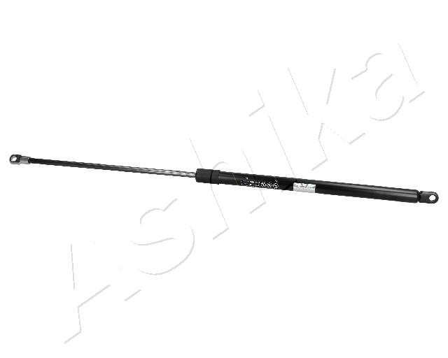 ZSA02069