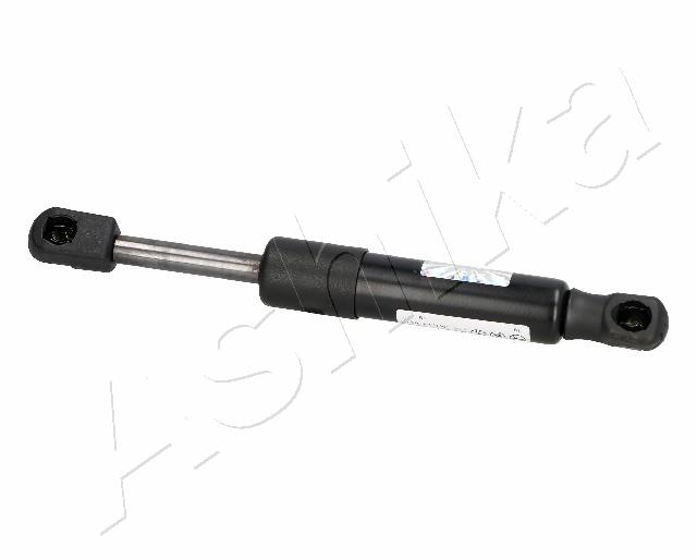 ZSA06070