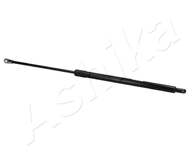 ZSA02041