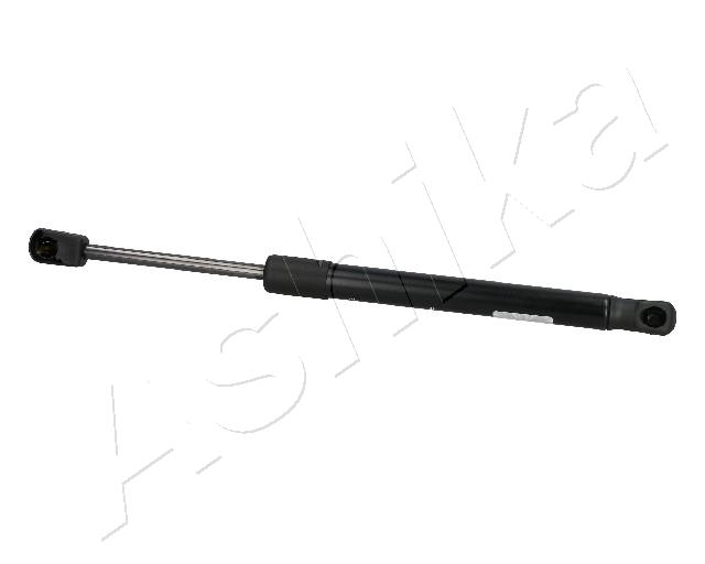 ZSA10011