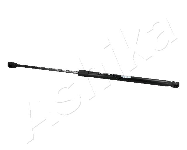 ZSA10025