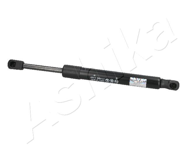 ZSA09039