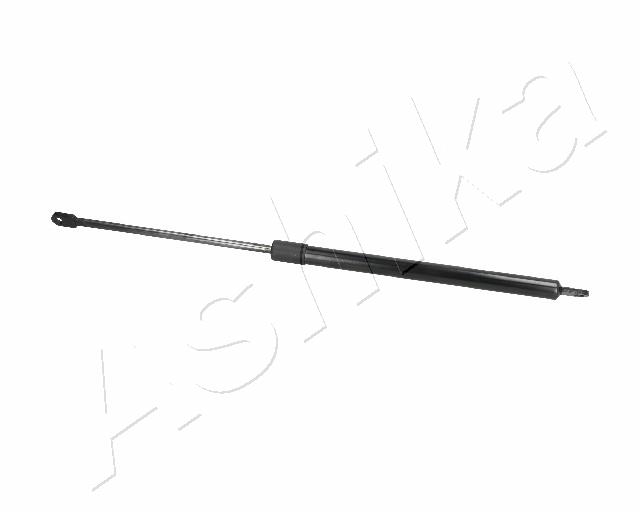 ZSA01010