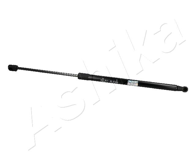 ZSA10007