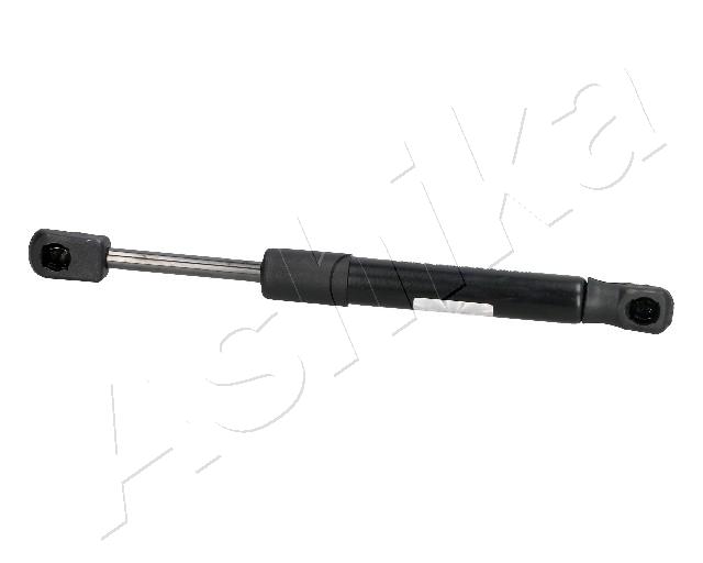 ZSA05038