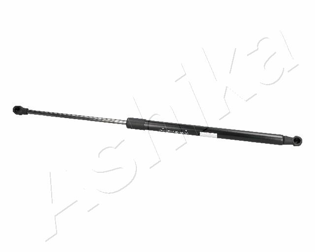 ZSA06094