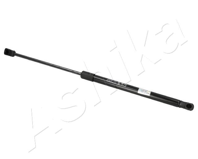 ZSAK0017