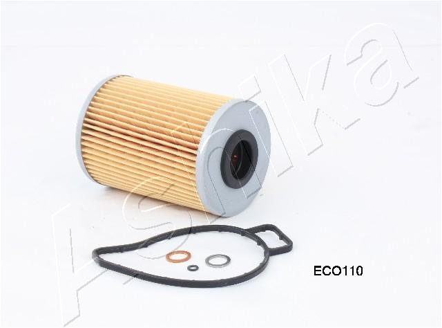10-ECO110