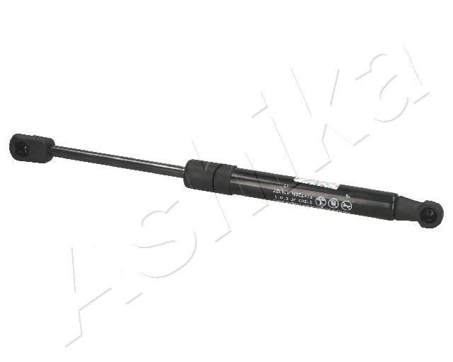 ZSA01011