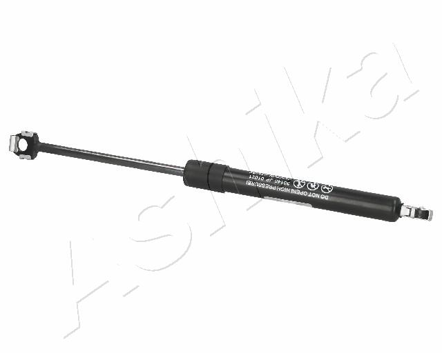 ZSA01021
