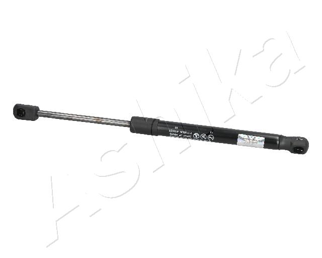 ZSA09033