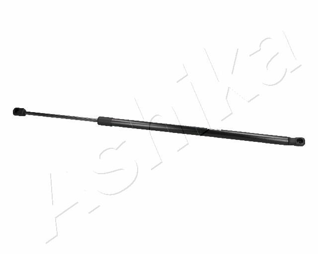 ZSA06074