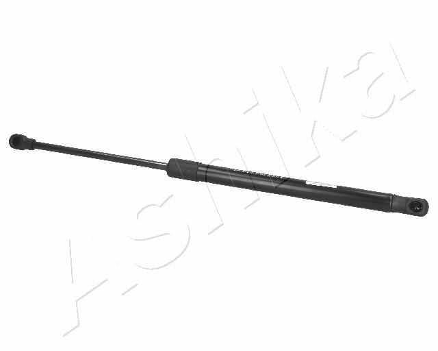 ZSA01036