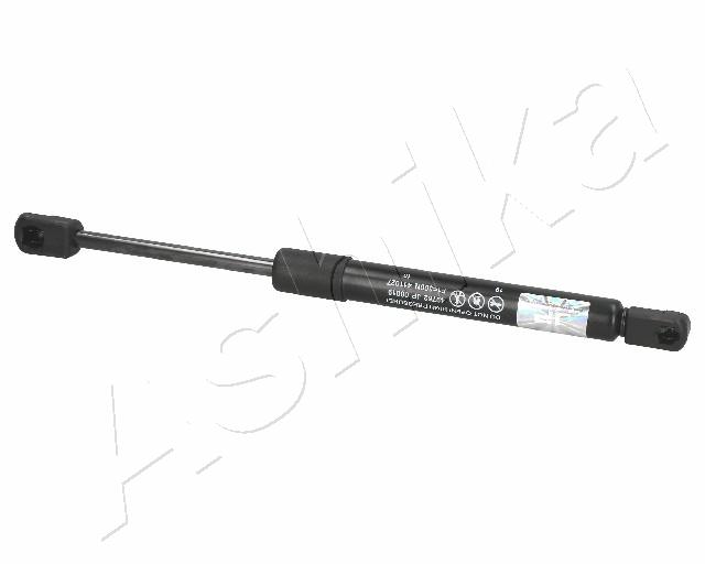 ZSA00019
