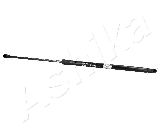 ZSA02088