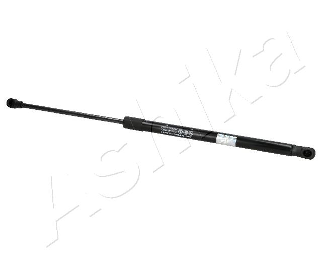 ZSA02040