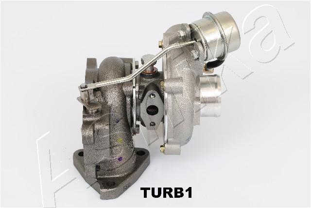 TURB1