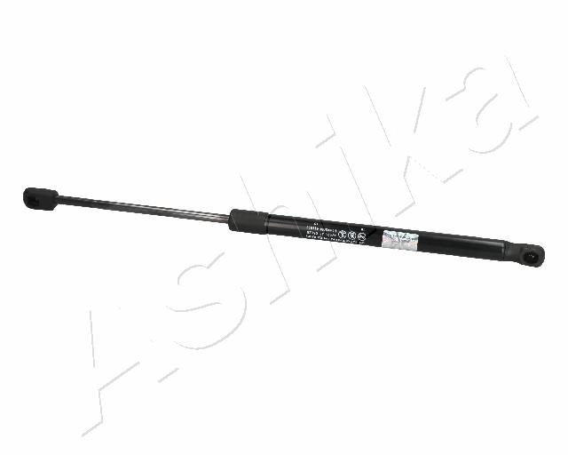 ZSA06028