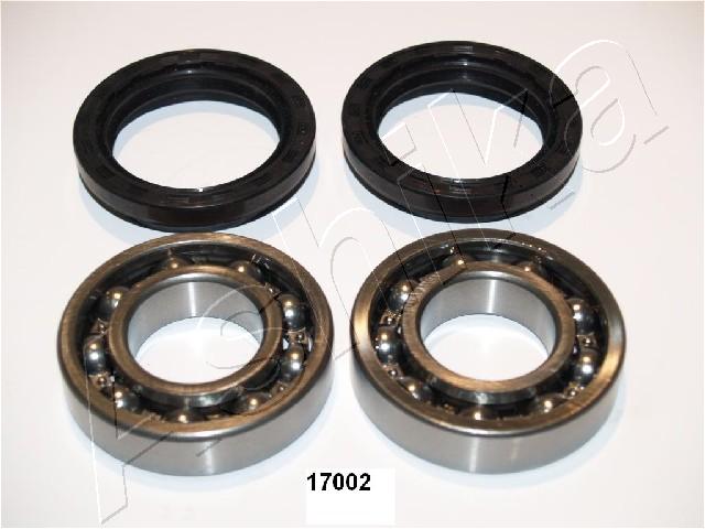 44-17002