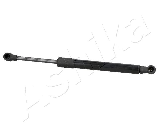 ZSA02074