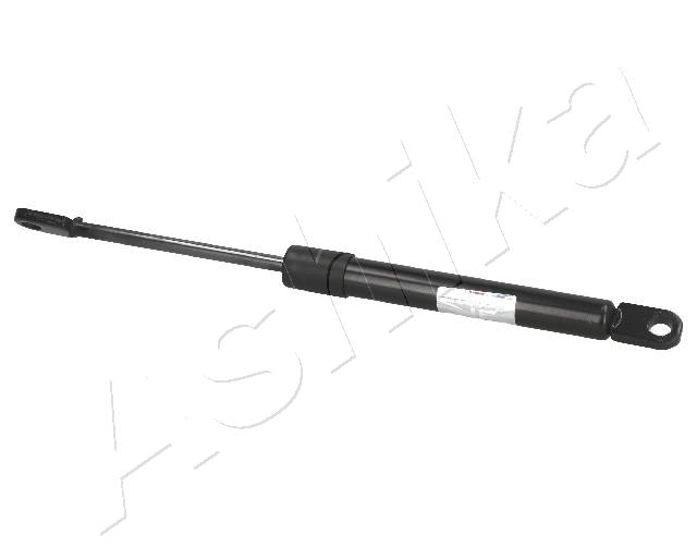 ZSA01027