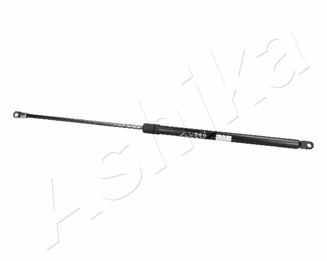 ZSA06058