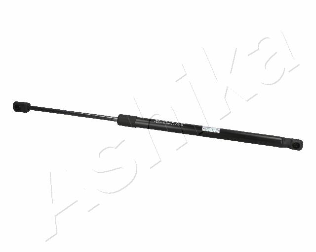 ZSA06021