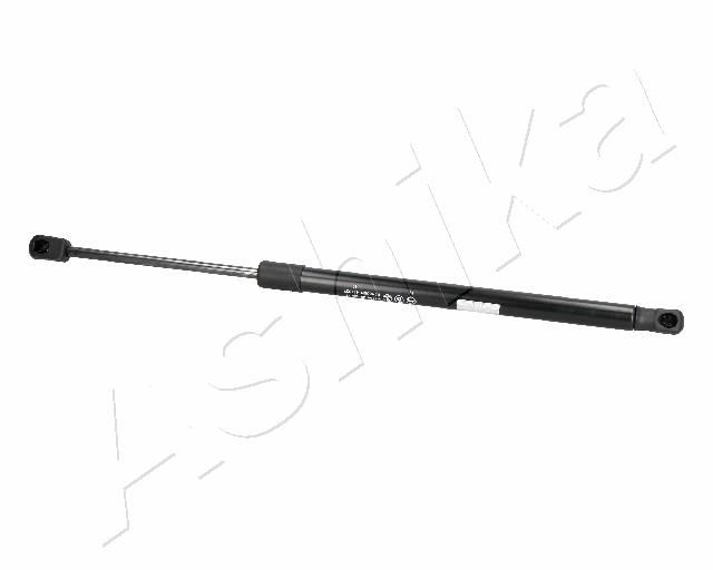 ZSA06011