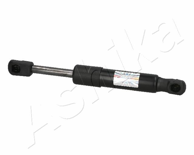 ZSA06096