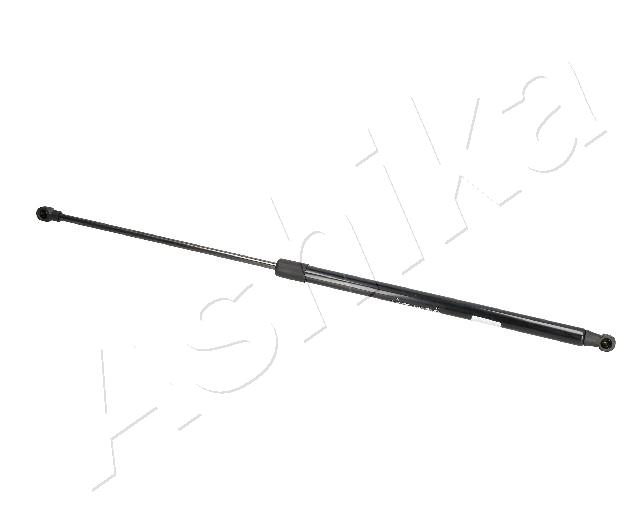 ZSA06075