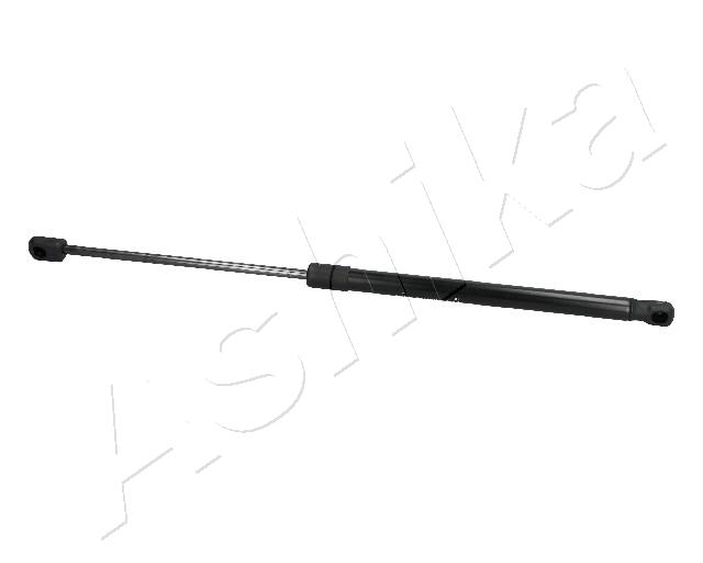 ZSA10024