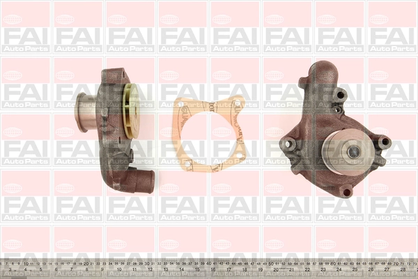 WP6031